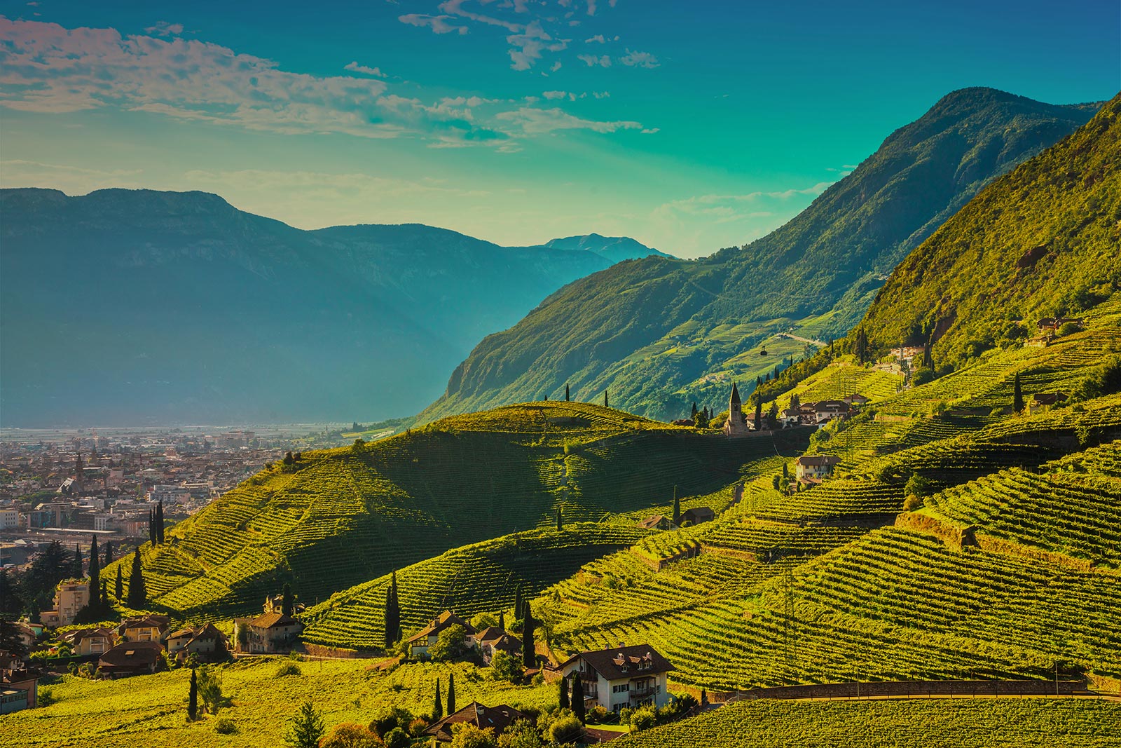 splendida vista sui vigneti di St. Magdalena a Bolzano